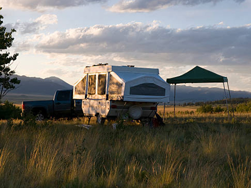 Pets & RVs: Pet-Friendly RV Favorites & Accessories